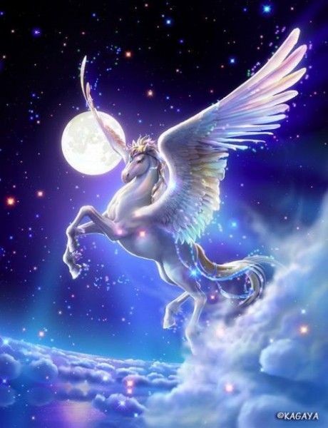 unicorn picture