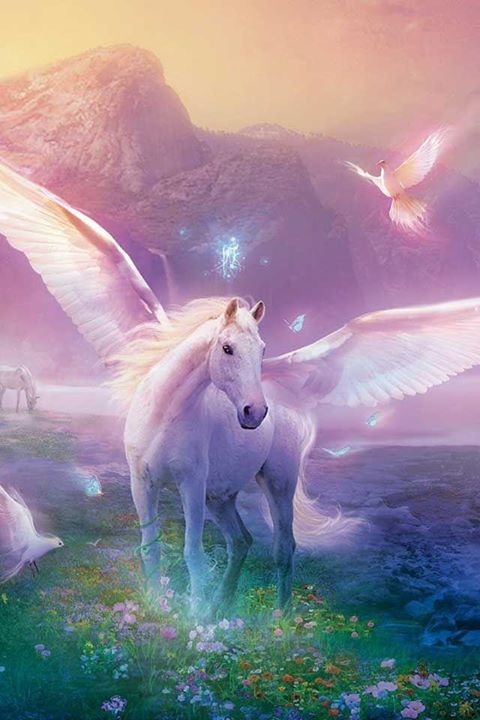 unicorn picture
