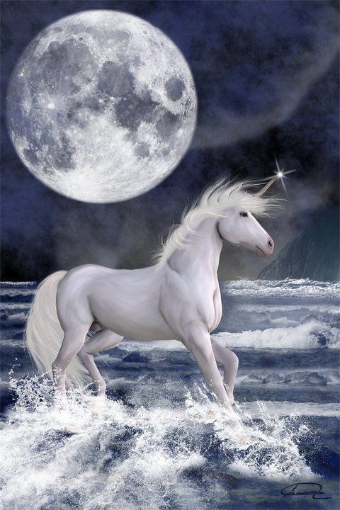 unicorn picture