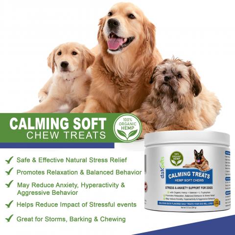 dakpets new video guide on natural dog stress remedies released