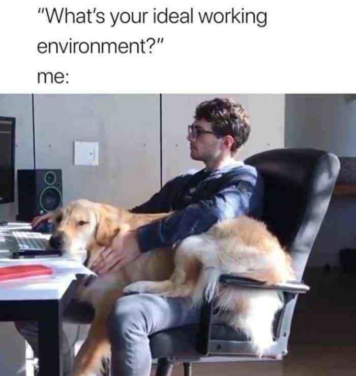 Memes About Work