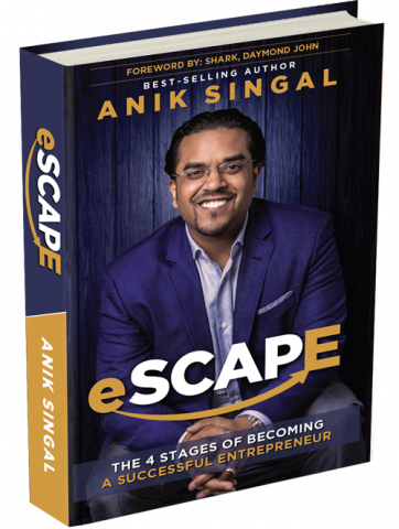 launch your own successful niche business with this anik singal step by step pro