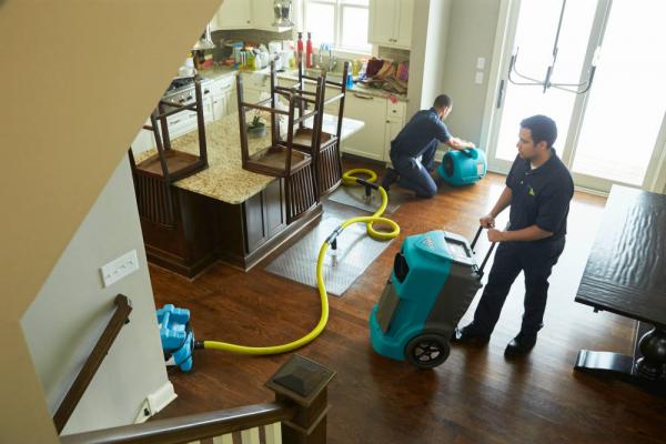 best northwest side chicago 24 7 water damage restoration specialist to put on s