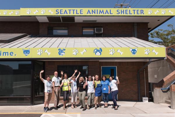 check out the animals up for adoption from seattle humane society amp this nataw