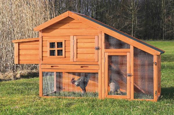 discover the benefits of this advantek stilt house rabbit hutch for comfortable 