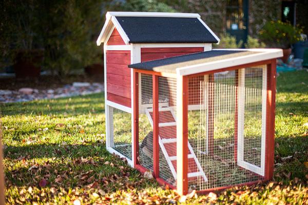 discover the benefits of this advantek stilt house rabbit hutch for comfortable 