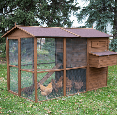 discover the benefits of this advantek stilt house rabbit hutch for comfortable 