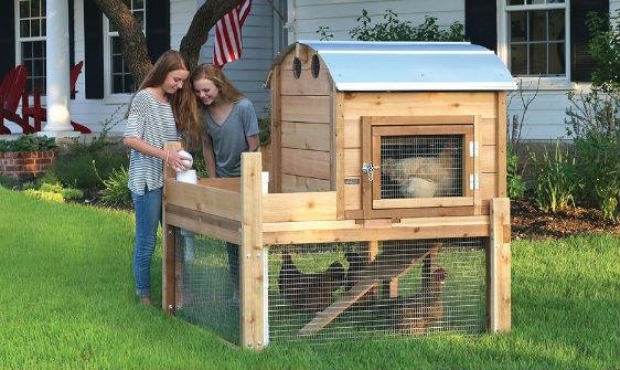 discover the benefits of this advantek stilt house rabbit hutch for comfortable 