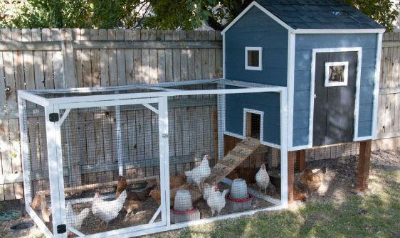 discover the benefits of this advantek stilt house rabbit hutch for comfortable 