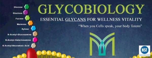 discover the importance of glyconutrients with nutritional awareness cell commun