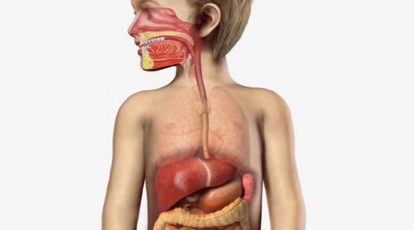 discover the importance of removing sugar when seeking natural autism treatment 