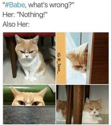 Hilarious Relationship Memes