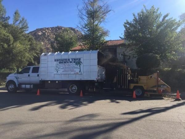 protect your home against fire damage with expert san diego tree trimming remova