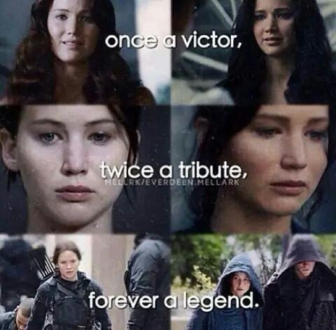 hunger games memes