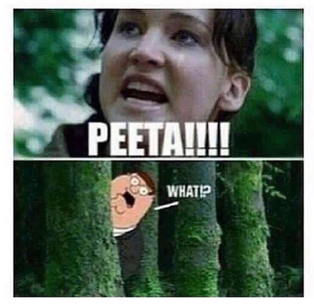 hunger game memes