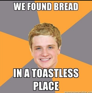 hunger game memes