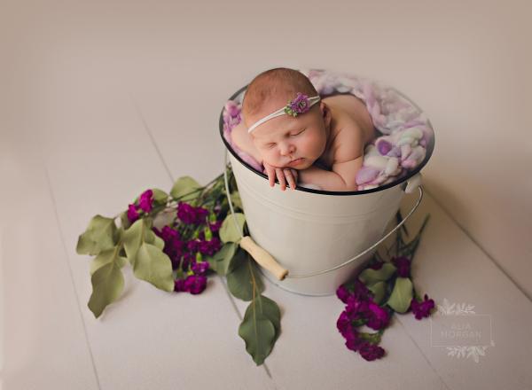 best waukesha newborn photography studio for cute sweet portraits of your little