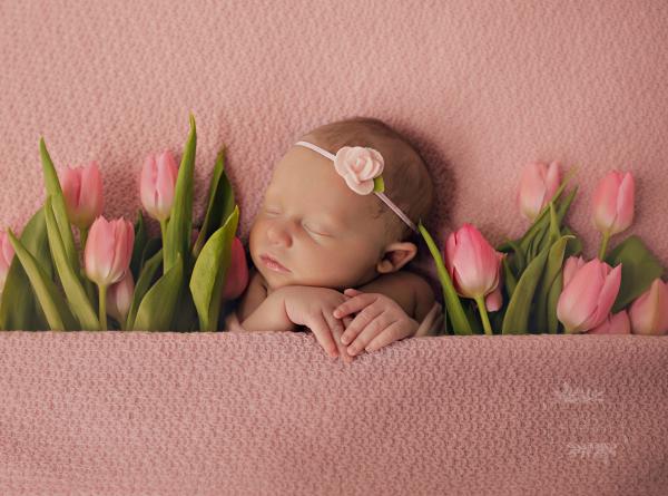 best waukesha newborn photography studio for cute sweet portraits of your little