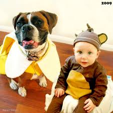 Children Dog Costumes