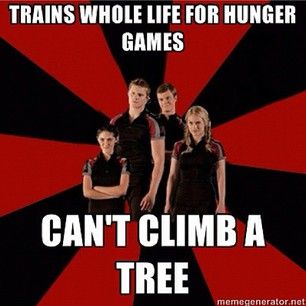 hunger game memes