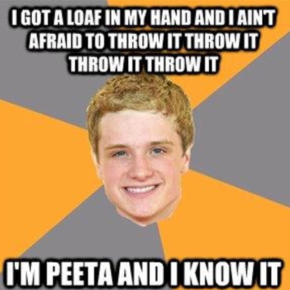 That Awkard Moment When You Realize Peeta And Katniss S Celebrity Couple Ame Is Peniss Hunger Games Memes The Hunger Games Meme On Me Me