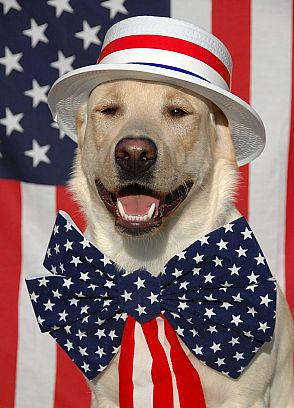 Patriotic Names For Dogs