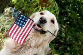 Patriotic Names For Dogs