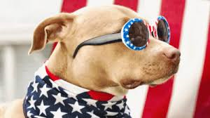 Patriotic Names For Dogs