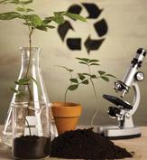 greenhouses bring benefits to commercial growers