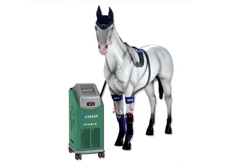 newmarket horse therapy products supplier introduces full leg amp neck wraps