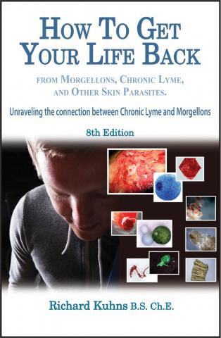 author uses bold new format to help support morgellons sufferers in healing