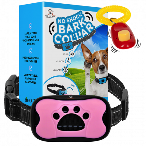 how to train your dog with a vibrating collar
