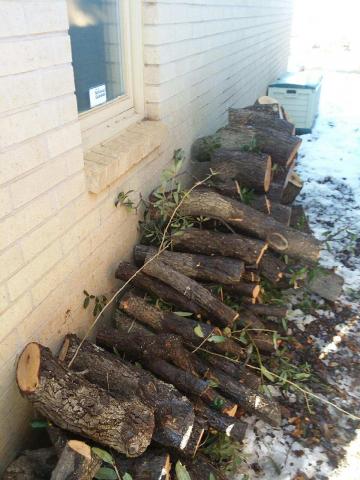 west texas snow storm has downed tree branches that must be removed