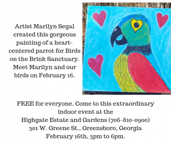 birds on the brink sanctuary of harlem ga to showcase animals amp new murals by 
