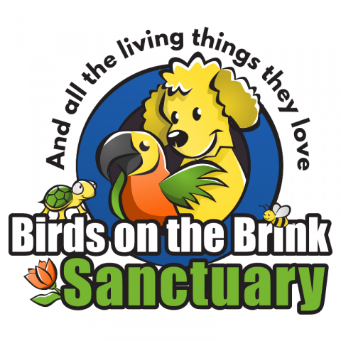 birds on the brink sanctuary of harlem ga to showcase animals amp new murals by 