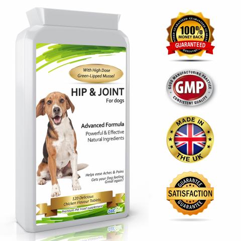 dakpets announces the amazon uk launch of dog hip amp joint glucosamine suppleme