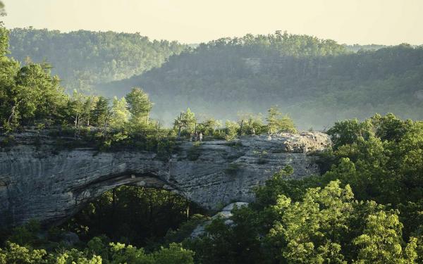 get the best vacation services for a spring trip to kentucky
