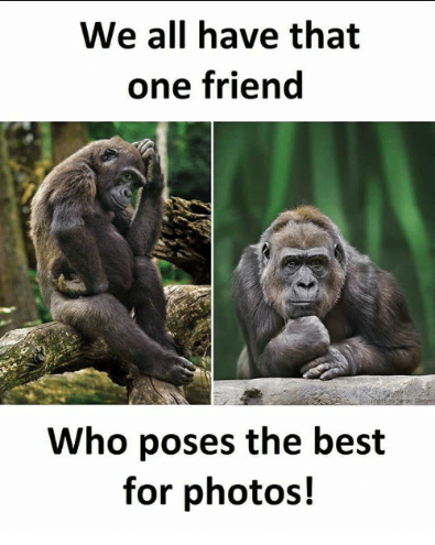 We all have that one friend meme