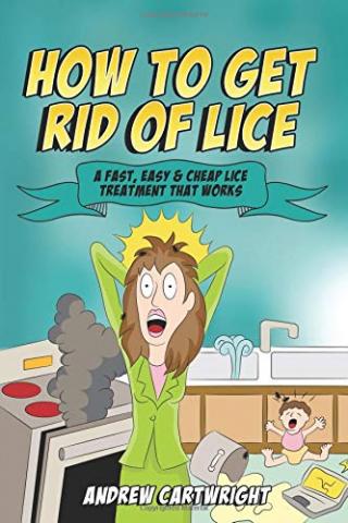 how to get rid of head lice fast cheap and natural treatments to use at home