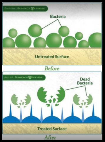 biosweep of greater atlanta and oneighty solutions offer unique mold and odor re