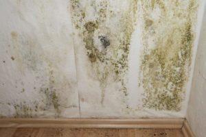 get the best boise id interior mold testing plus remediation crawlspace attic am