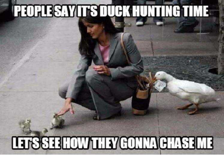 duck hunting memes