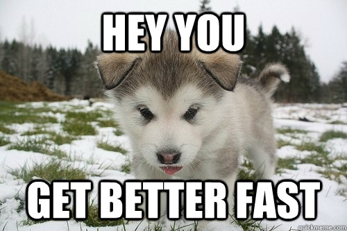These 10 Feel Better Soon Memes May Be Funny Cute Enough To Cure You