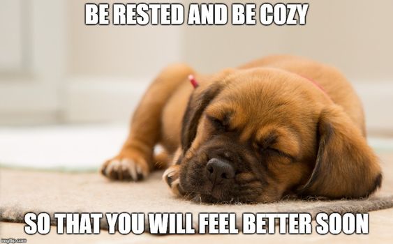 These 10 Feel Better Soon Memes May Be Funny & Cute Enough To Cure You