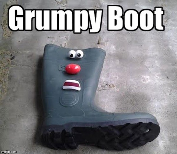 boot meme