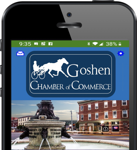 online review platform along with pwa utilized by goshen chamber of commerce