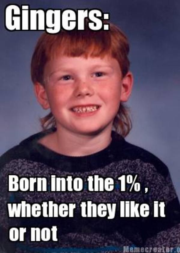 ginger memes