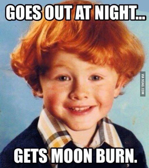 ginger memes