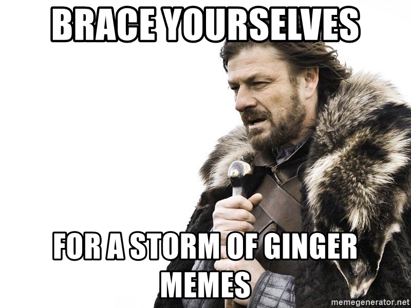 ginger memes