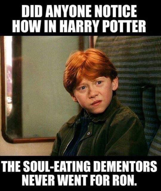 ginger memes